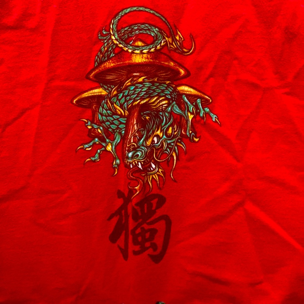 Y2K Dragon on Mushroom Red Cropped Short Sleeve T-shirt Sz Large 100% Cotton